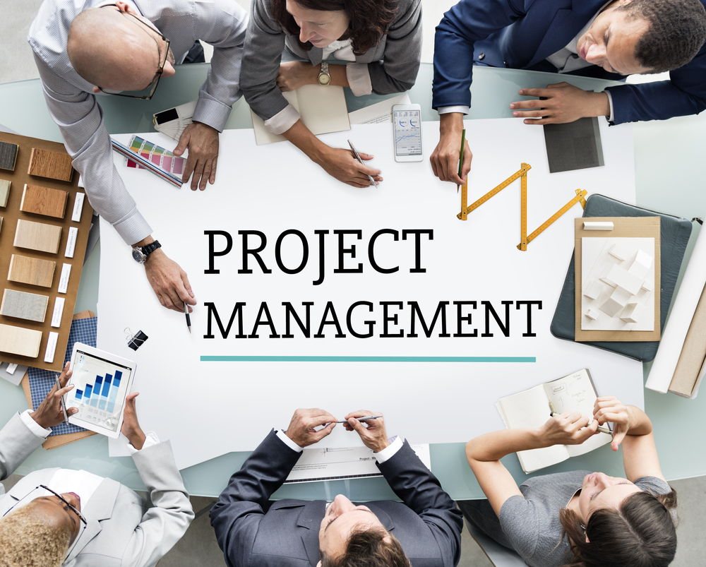 Project Manager vs. Project Officer: How...